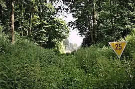 … die hier verwaiste Trasse der TWE von Pflanzen bereits völlig zugewachsen.
