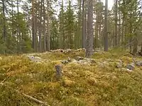 Kung Östens Grav