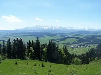 Blick von der Suszyna