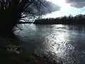 Die Drau bei Őrtilos
