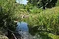 Renaturierter Flussabschnitt