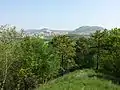 Blick vom Šibeničník nach Norden in Richtung Mikulov und Svatý kopeček u Mikulova.