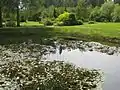 Kalsnava Arboretum