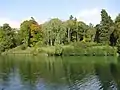Dendrologischer Park „Trostjanez“