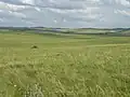 Steppe im Süden Sibiriens