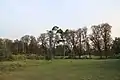 Parkdenkmal für Garten- und Parkkunst in Lemeschiwka