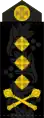 Ukraine(Schulterklappe)