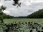 Beispielbild Altadighi-Nationalpark