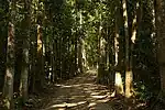 Beispielbild Lawachara-Nationalpark