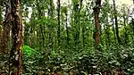 Shingra-Nationalpark