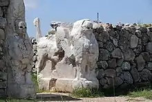 Westliche Sphinx