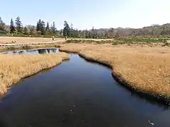 Marschland im Quasi-Nationalpark