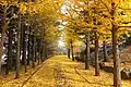 Nishioka-Park