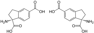 Struktur von Aminodihydroindendicarbonsäure