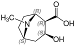 (–)-Ecgonin