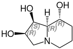 (–)-Swainsonin