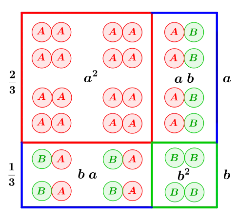 Analoge Situation für allgemeine Einzelwahrscheinlichkeiten 
  
    
      
        a
        +
        b
        =
        1
      
    
    {\displaystyle a+b=1}
  
 (hier exemplarisch 
  
    
      
        a
        =
        
          
            
              2
              3
            
          
        
      
    
    {\displaystyle a={\tfrac {2}{3}}}
  
 und 
  
    
      
        b
        =
        
          
            
              1
              3
            
          
        
      
    
    {\displaystyle b={\tfrac {1}{3}}}
  
). Das ganze Quadrat hat „Volumen“ Eins. Die erste binomische Formel gibt exakt die Einzelwahrscheinlichkeiten nach zweifacher Ausführung des Experiments, geometrisch realisiert durch Teilflächen. In diesem Beispiel ist das Ereignis BB (mit Wahrscheinlichkeit 
  
    
      
        
          b
          
            2
          
        
        =
        
          
            
              1
              3
            
          
        
        ⋅
        
          
            
              1
              3
            
          
        
        =
        
          
            
              1
              9
            
          
        
      
    
    {\displaystyle b^{2}={\tfrac {1}{3}}\cdot {\tfrac {1}{3}}={\tfrac {1}{9}}}
  
) viermal weniger plausibel als AA (mit 
  
    
      
        
          a
          
            2
          
        
        =
        
          
            
              2
              3
            
          
        
        ⋅
        
          
            
              2
              3
            
          
        
        =
        
          
            
              4
              9
            
          
        
      
    
    {\displaystyle a^{2}={\tfrac {2}{3}}\cdot {\tfrac {2}{3}}={\tfrac {4}{9}}}
  
).