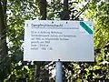 Nr. 3 Dampfmühlenschacht