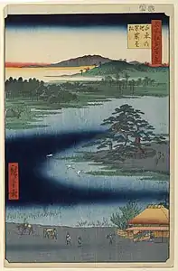 5. Kesakake-Kiefer am Senzoku-Teich