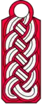 Amtsbrandmeister/-in