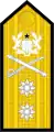 Dienstgradabzeichen eines Rear Admiral