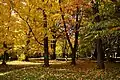 Botanischer Garten