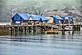 Pier in Akaroa