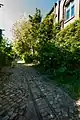 Gleisanlage