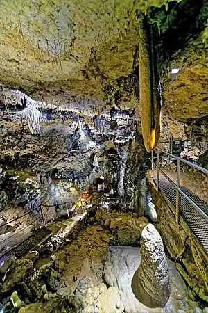 Blick über das Elefantenohr in die Sophienhöhle.