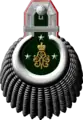 Epaulette eines Professors der Militärmedizinische Akademie S. M. Kirow im Range eines Geheimrats
