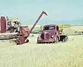 2,5 t REO Speed Wagon (1948) bei der Getreideernte in der Camas Prairie, Idaho ca. 1953