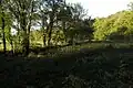 Das Uebachtal bei Plitschard