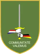 Verbandsabzeichen