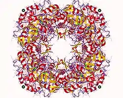 Isopentenyldiphosphat-Isomerase