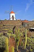 Jardín de Cactus mit Windmühle von César Manrique