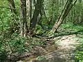 Braubach (kurz vor der Einmündung in den Liederbach)