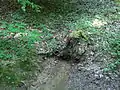 Waldbachquelle