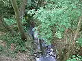Waldbach kurz vor Schwalbach