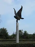 Meeuw