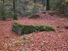 Mauerreste der abgegangenen Burg Brunn