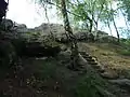 Gipfelregion