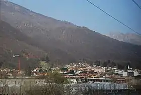 Bedano