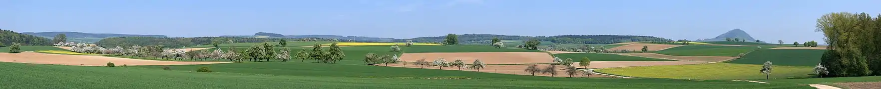 Hegaulandschaft bei Büßlingen (2011)