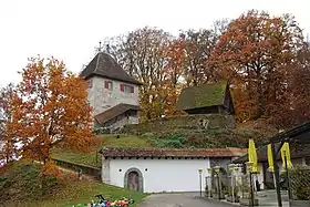 Schloss Buchegg