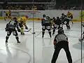Eishockeyspiel zwischen den Hannover Indians und den Lausitzer Füchsen im Eisstadion am Pferdeturm