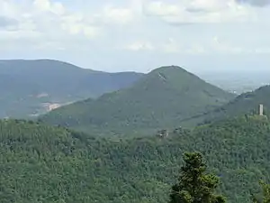 Hohenberg (östlicher Wasgau): Blick vom Rehberg