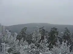 Hohe Loog vom Taubenkopf aus