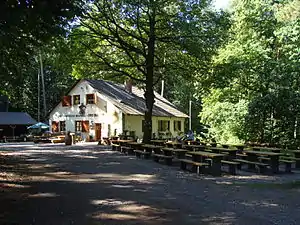 Waldhaus Drei Buchen