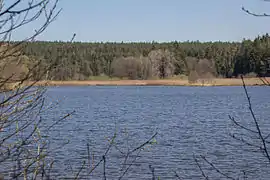 Oberer Kammerweiher
