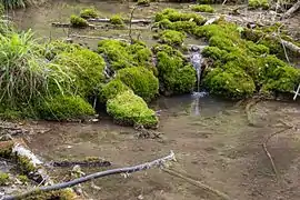 ein kleiner "Wasserfall"